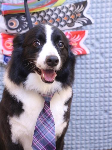 20230521ウィルくん